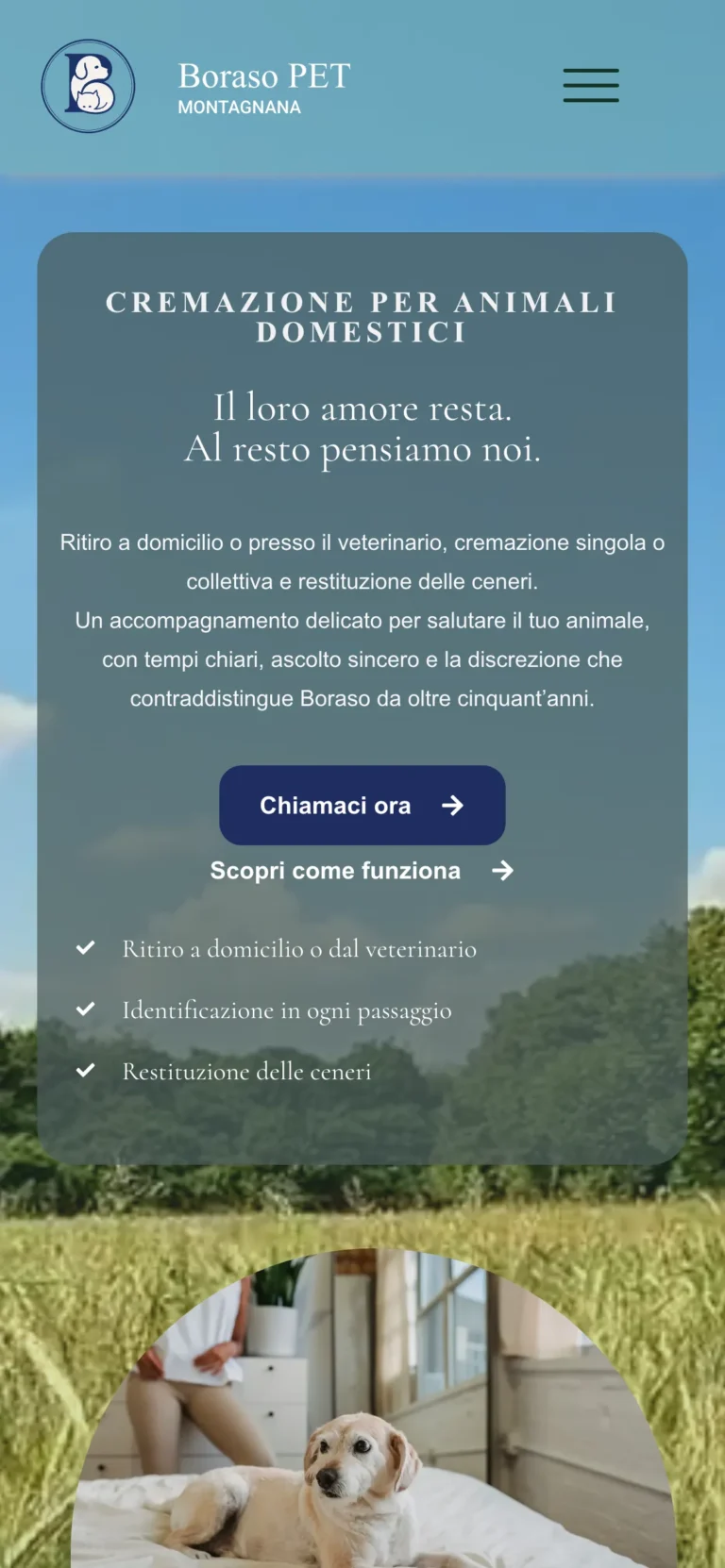 Il sito Boraso PET su smartphone